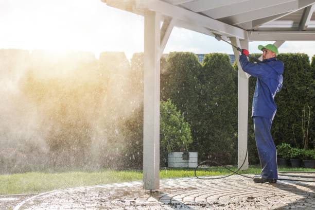Animal Enclosure Cleaning in Mount Vernon, NY